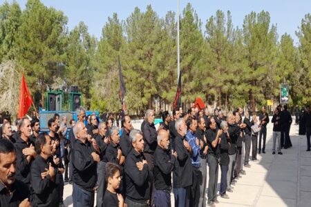 شور حسینی جاماندگان «اربعین» در رفسنجان