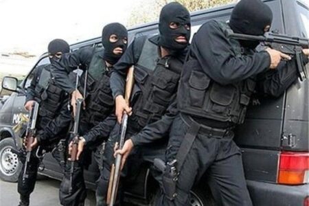 رهایی شهروند ریگانی از چنگال گروگانگیران