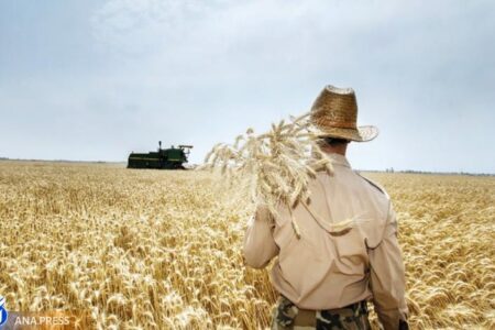 ساداتی نژاد: ارز ۴۲۰۰ تومانی بیشترین خسارت را به کشاورزی ایران زد