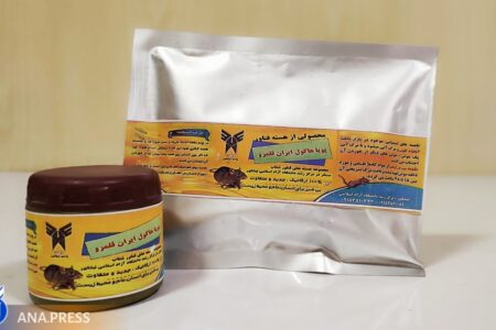 موش‌های مزاحم به دام افتادند/ تولید «طعمه موش‌کش شتاب» دوست‌دار محیط‌زیست