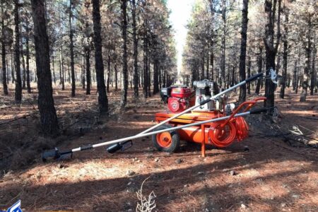 هرس‌کاری نوین با دستگاه «پنوماتیک»/ وقتی دانش‌بنیان‌ها در حوزه کشاورزی مفید هستند