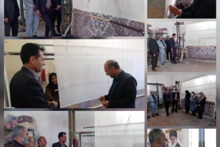 از کارگاه قالی بافی دستی پایگاه حدیث روستای باب تنگل زرند بازدید شد