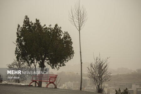 گرد و غبار شدید کرمان را فرا می گیرد