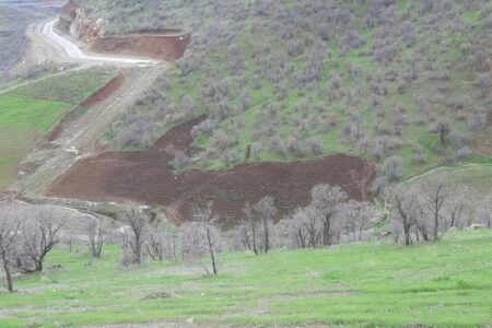 اقدامات مجرمان در تصرف اراضی ملی نگران کننده است