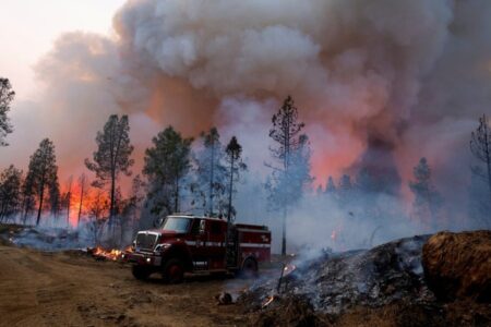 سوختن ۳۲ هکتار از مراتع شمال استان کرمان در سال جاری