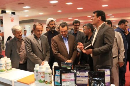 توضیح معاون وزیر علوم درباره اعطای مجوز پارک علم و فناوری به رفسنجان