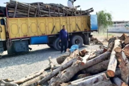 ۱۰تُن چوب بدون مجوز حمل در شهرستان رودبارجنوب کشف شد
