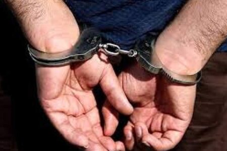 شرور مسلح جنوب کشور بازداشت شد