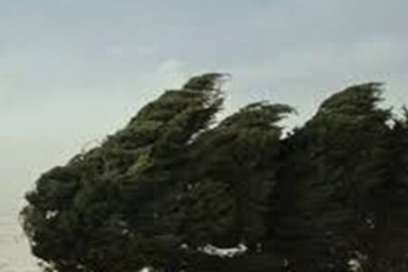 وزش باد و گردوخاک در شرق و شمال استان کرمان
