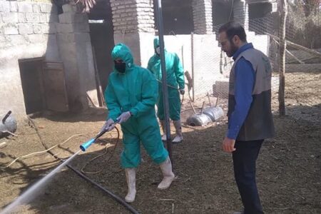 برگزاری اردوی جهادی بسیج مهندسین کشاورزی استان کرمان در شهداد