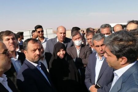 وزیر اقتصاد وارد فرودگاه کرمان شد