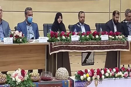 خاندوزی: افزایش ۷۰ درصدی عوارض و آلایندگی در سال جاری/صندوق بیمه کشاورزی تقویت  می‌شود
