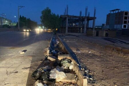 شهر کرمان همچنان سطل زباله ندارد