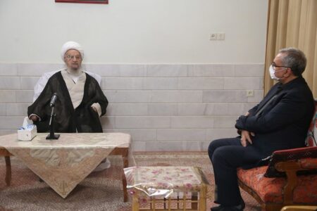 آیت‌الله‌العظمی مکارم شیرازی: اینکه بخواهیم با فشار، مسئله حجاب یا کمبود جمعیت را حل کنیم، درست نیست