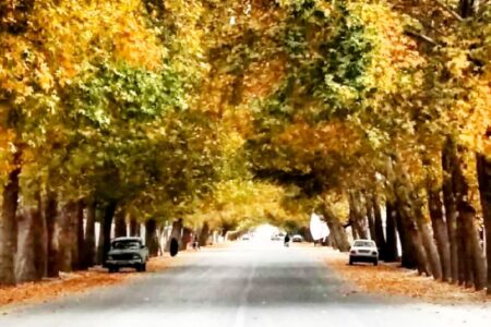 طبیعت زیبای پاییز در گلباف