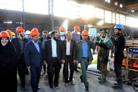 بازدید وزیر اقتصاد از کارخانه فولادسازی زرند ایرانیان