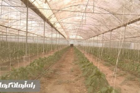 گلخانه راهی برای کاهش مصرف آب و افزایش تولید در واحد سطح