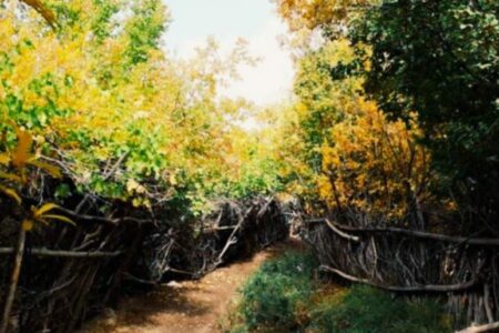 طبیعت شگفت‌انگیز پاییزی در گلباف