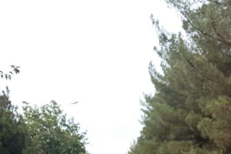 نمازگزاران ماهانی حمله تروریستی به حرم شاهچراغ را محکوم کردند