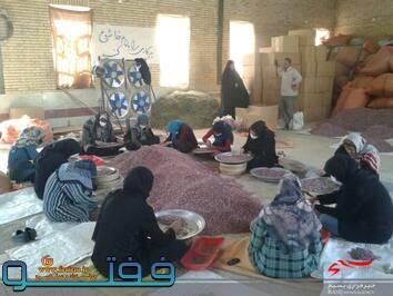 کارگاه صنایع تبدیلی گیاهان جهت ایجاد اشتغال توسط حوزه خواهران نرگس