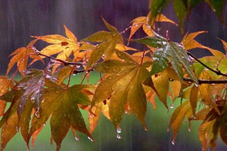 اولین باران پاییزی آخر هفته مهمان کرمان خواهد بود