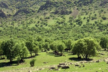 طرح کاداستر اراضی ملی در کرمان با جدیت دنبال می‌شود/ اجرای پروژه پخش سیلاب خرمدشت کوهبنان از بهمن‌ماه امسال