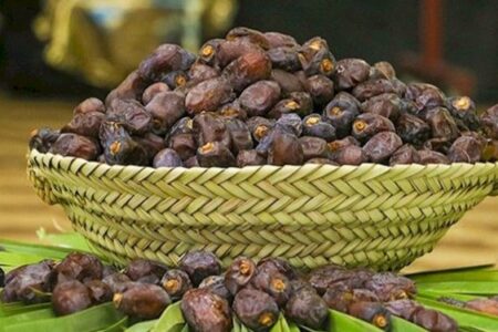 ایجاد پایانه خرمای کلوته ایران در عنبرآباد موجب تحول می‌شود