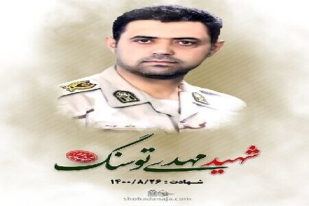 نخستین سالگرد شهادت سردار کویر در کرمان برگزار می‌شود