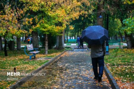 بارش پراکنده در کرمان/ تندباد استان را فرا می گیرد