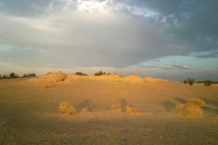 محوطه ساسانی در کرمان پس از چند بار تعرض تعیین عرصه می‌شود