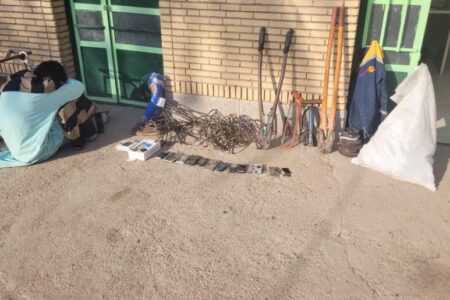 دستگیری سارق کابل های برق در ریگان