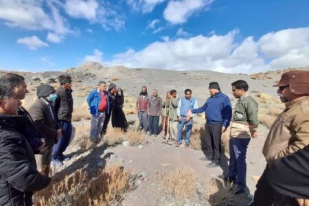 اجرای طرح اصلاح و توسعه گیاهان دارویی در ۳ هزار هکتار از مراتع شهرستان جیرفت