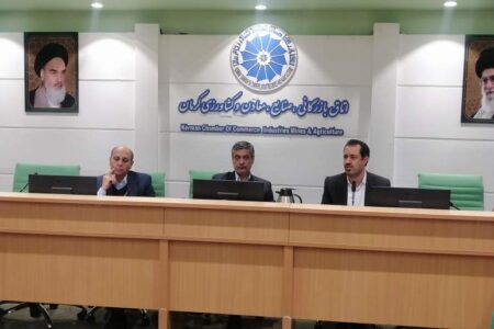 سهمیه تسهیلات تبصره ۱۸ استان جذب شده است‌/برخی دستگاه ها به مصوبات مقررات زدایی بی توجهی نشان می دهند