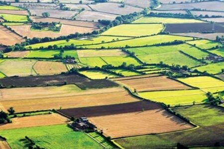 کرمان پایلوت فعالیت حدنگاری اراضی کشاورزی در کشور شد