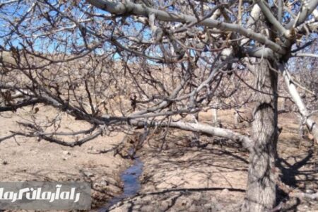 ساردوئیه زیر  سایه کم‌توجهی مسئولان