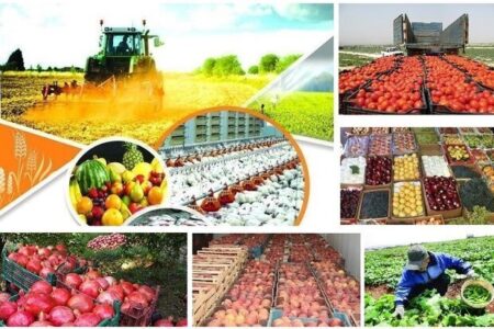 ضرورت ایجاد صنایع تبدیلی برای جلوگیری از خام فروشی در عنبرآباد