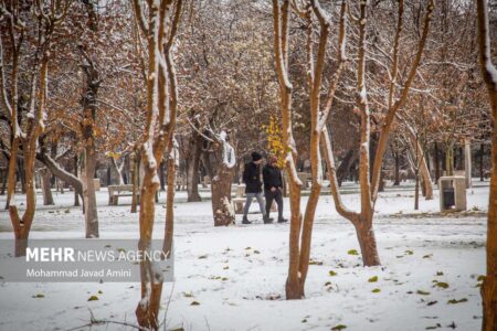 بارش برف در مناطق مرتفع کرمان
