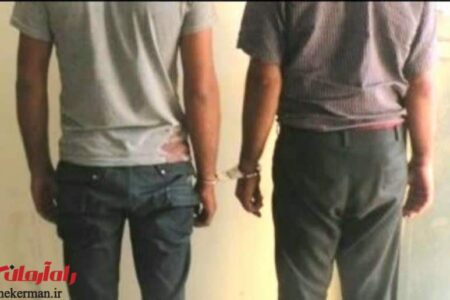 دستگیری دو سارق در جیرفت