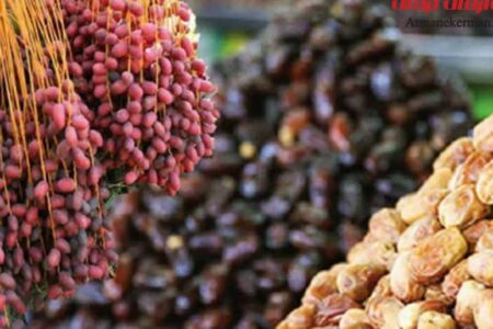 کشور های رقیب به دنبال تصاحب بازار خرمای ایران هستند