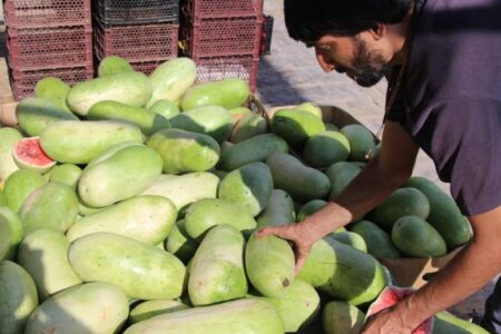 حال و هوای بازار شب یلدا در فهرج