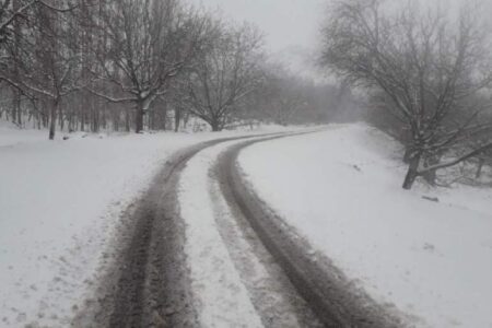چشم روشنی زمستان رابر