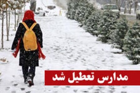 تعطیلی تمامی مدارس دشتخاک و سربنان زرند در روز چهارشنبه/ آموزش غیرحضوری برقرار است