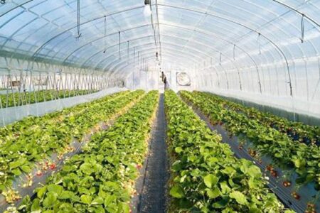 سرنوشت بنیاد ابراهیم‌آباد ارزوئیه پس از ادغام چه می‌شود؟/ لزوم توجه بیشتر به مناطق محروم