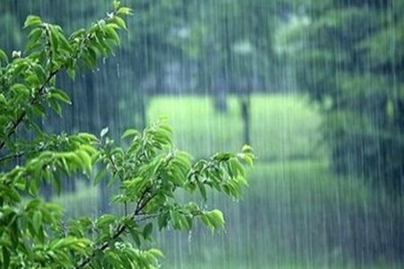 ادامه بارندگی‌ها در جنوب کرمان/ وزش تندبادهای لحظه‌ای در استان