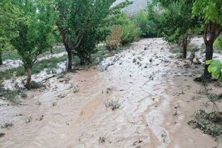 خدمات هلال‌احمر به بیش از ۳۰۰ نفر در سیل کرمان/ امدادرسانی ادامه دارد