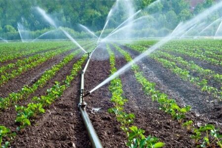 افزایش نظارت بر توسعه آبیاری نوین در زرند