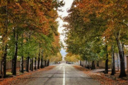 اتمام فاز اول عملیات جداره‌سازی و بدنه‌سازی بافت تاریخی راین