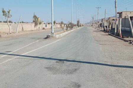 ۵۰۰ اصله درخت جایگزین اکالیپتوس‌ها در راور می‌شود