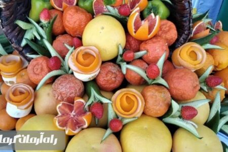 چهارمین جشنواره ملی مرکبات در شهرستان جیرفت برگزار شد