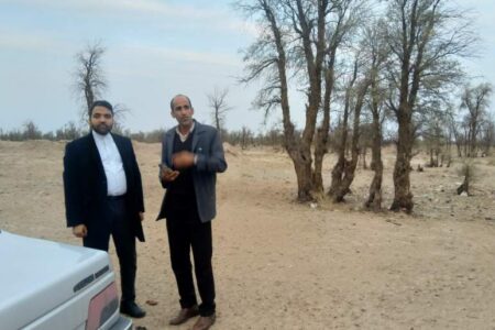 زمین‌خواری یک معضل بزرگ در ریگان است